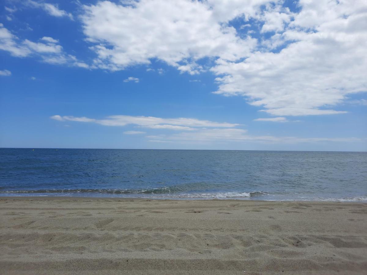 Appartement Vue Mer, Acces Direct Plage, Parking Privatif Le Barcarès Eksteriør billede